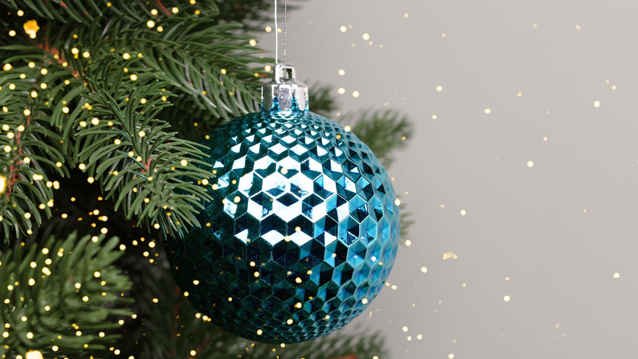Blue christmas ornament hanging on tree limb
